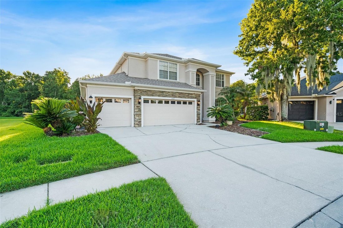 House in Wesley Chapel, Florida, United States 5 - 18514909