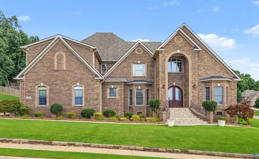 House in Madison, Alabama, United States 1