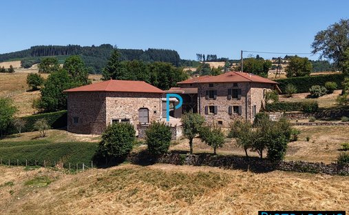 House in Cours, Auvergne-Rhône-Alpes, France 1