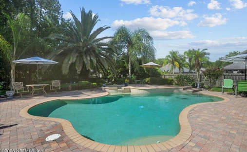 House in Fruit Cove, Florida, United States 1