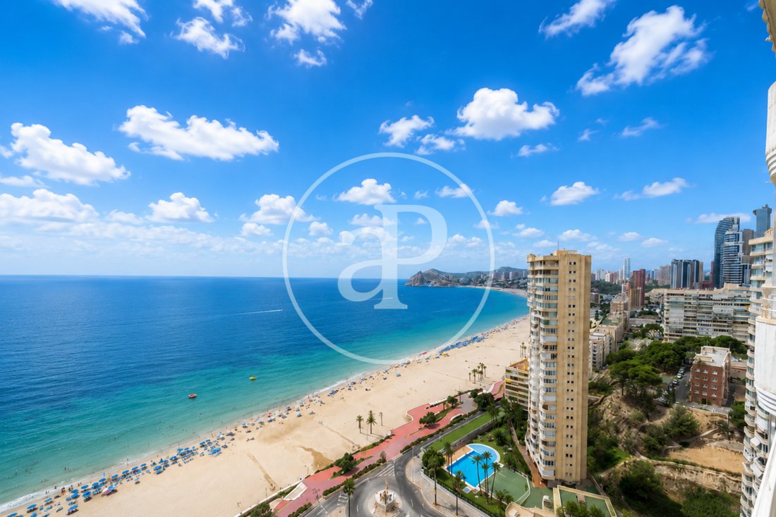 Apartment in Benidorm, Valencian Community, Spain 2 - 18515875
