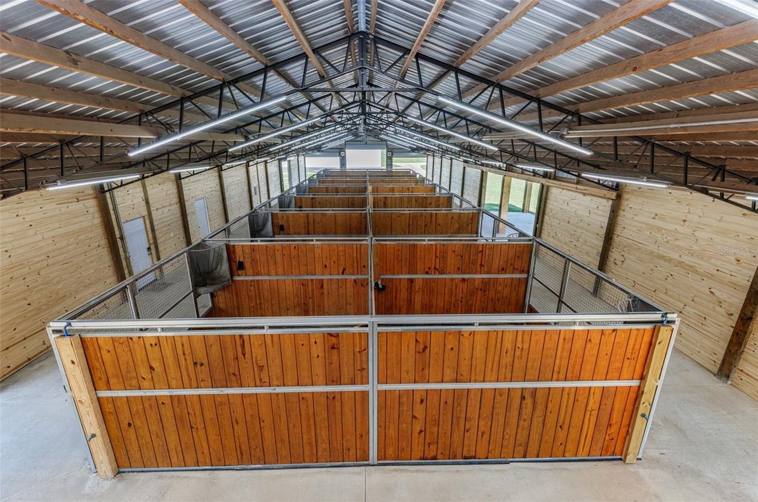 Farm Ranch in Wildwood, Florida, United States 4 - 18518606