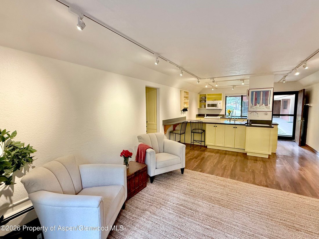 Condo in Aspen, Colorado, United States 1 - 18515936