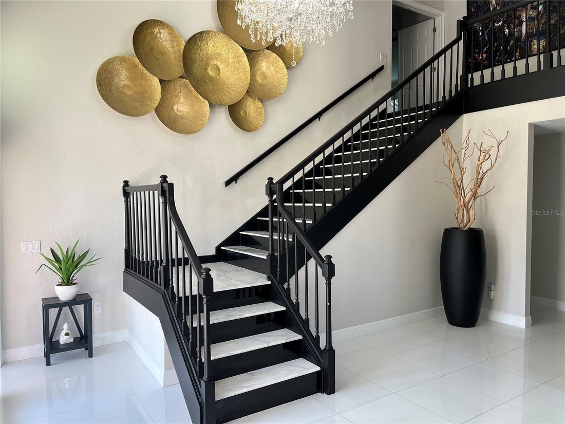 House in Tampa, Florida, United States 4 - 18508263