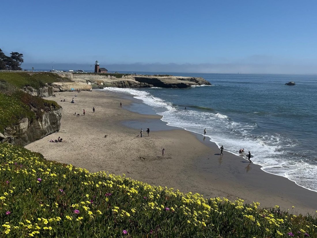 Santa Cruz, California, United States 1 - 18515200