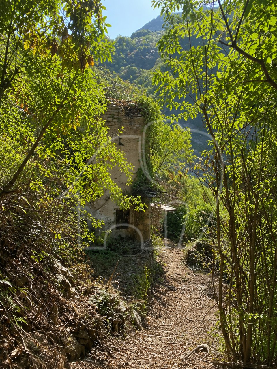 Land in Tavernaro, Trentino – Alto Adige/Südtirol, Italy 2 - 12494666