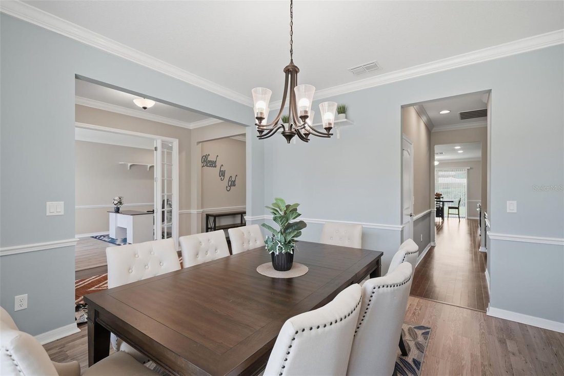 House in Brandon, Florida, United States 3 - 18517172