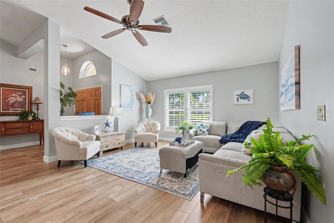 House in Palm Harbor, Florida, United States 5 - 18520171