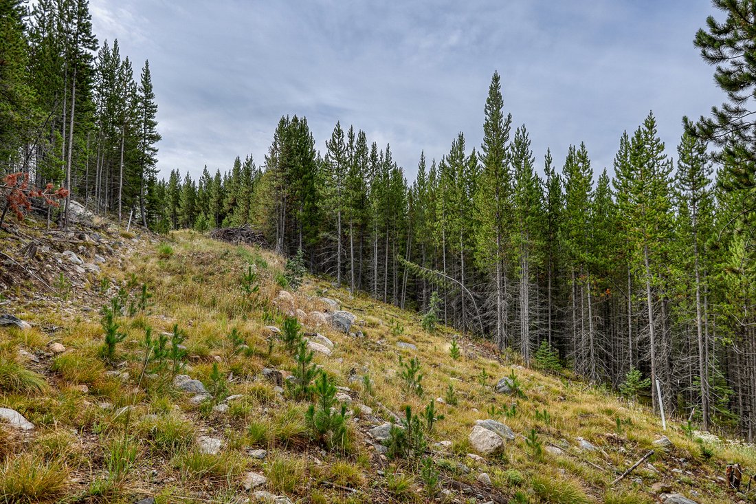Land in Gallatin Gateway, Montana, United States 3 - 18515572