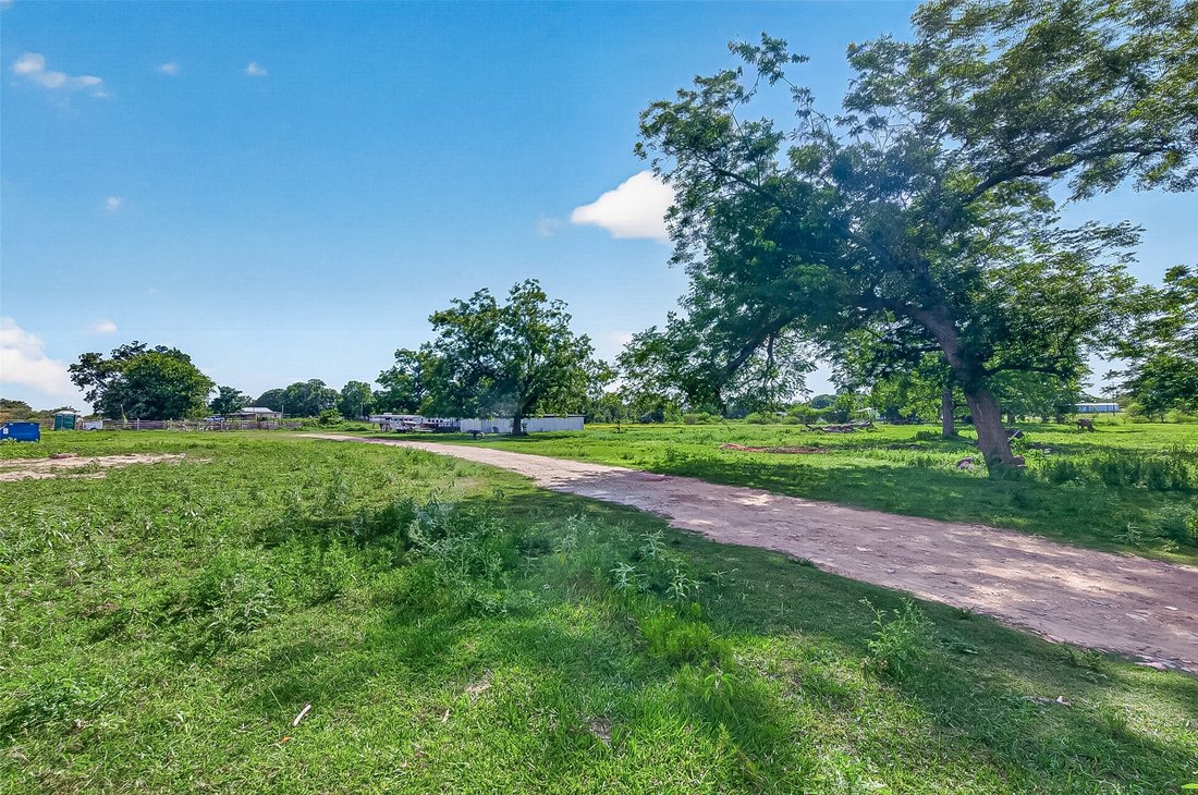 Farm Ranch in Brookshire, Texas, United States 4 - 18508897