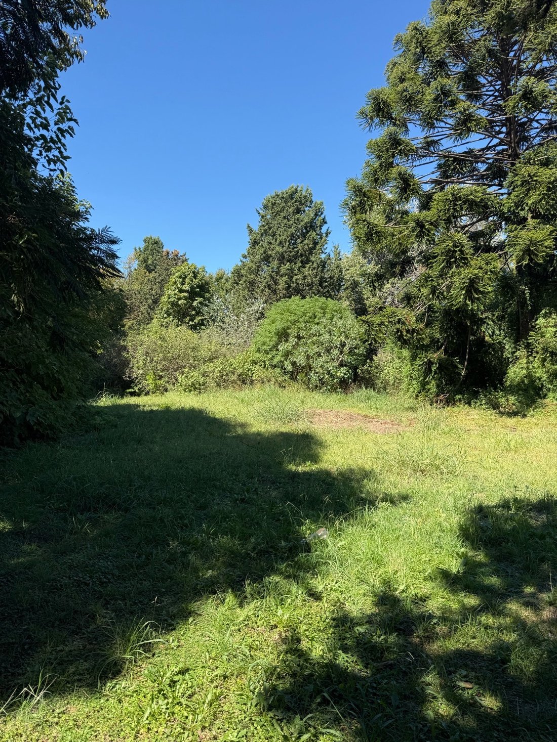 Land in El Talar, Buenos Aires Province, Argentina 4 - 18510417
