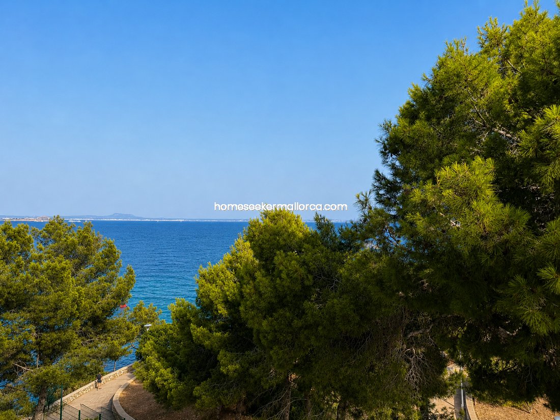 Apartment in Calvia, Balearic Islands, Spain 4 - 18508635