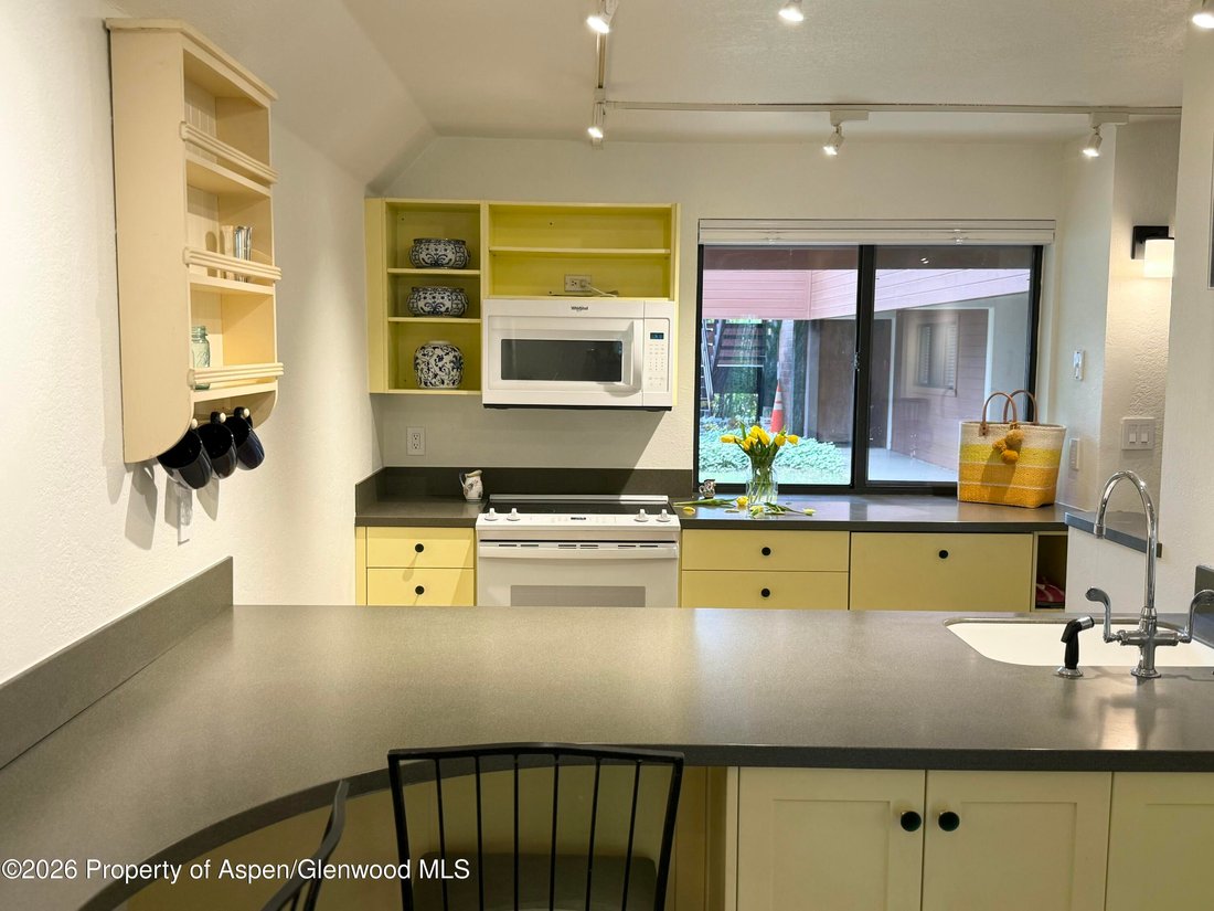 Condo in Aspen, Colorado, United States 5 - 18515936