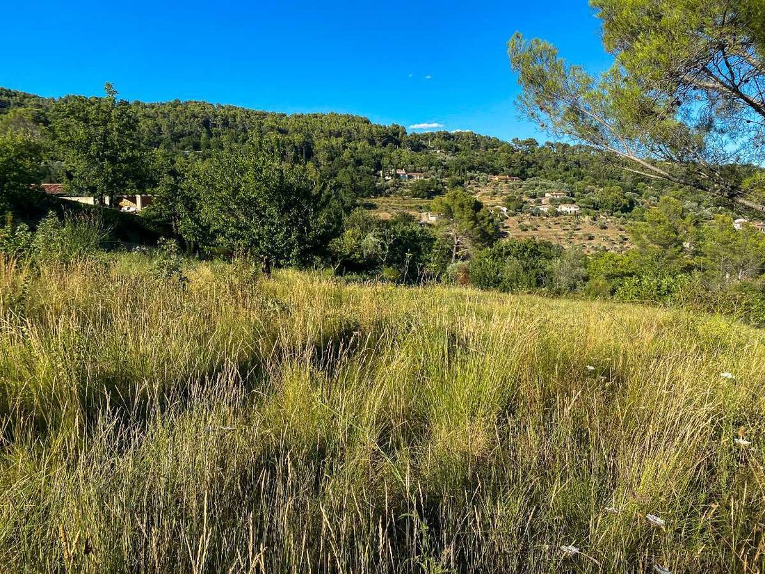 Land in Fayence, Provence-Alpes-Côte d'Azur, France 4 - 18511748