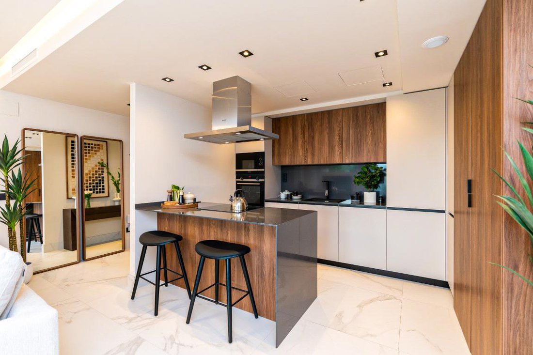 Penthouse in San Pedro de Alcantara, Andalusia, Spain 4 - 18513576