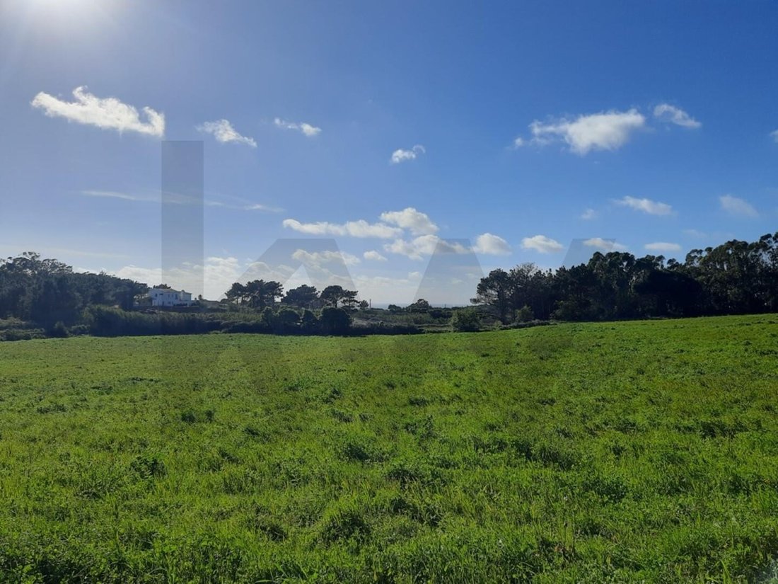 Land in Ericeira, Lisbon, Portugal 1 - 18514945