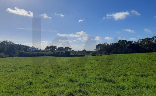 Land in Ericeira, Lisbon, Portugal 1