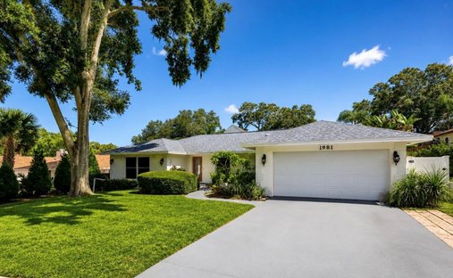House in Dunedin, Florida, United States 1