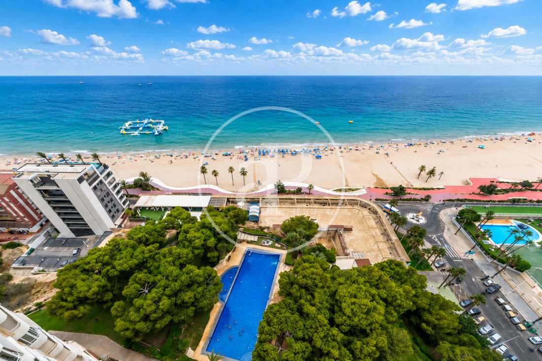 Apartment in Benidorm, Valencian Community, Spain 3 - 18515875