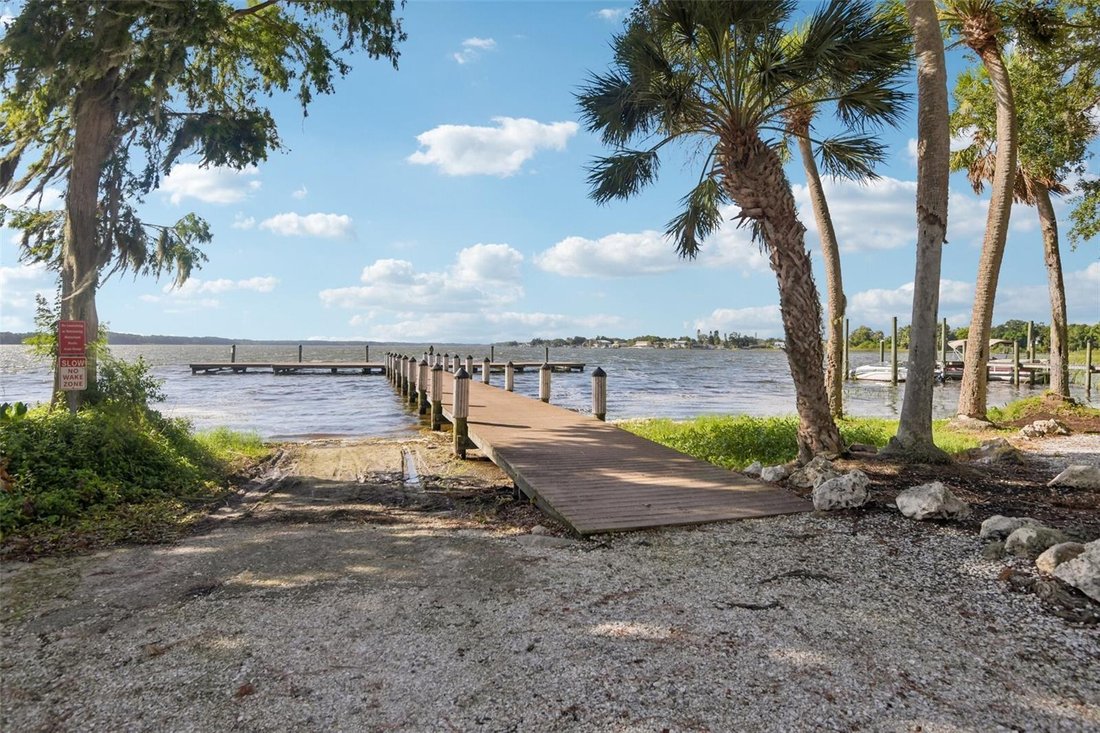 House in Palm Harbor, Florida, United States 3 - 18518610