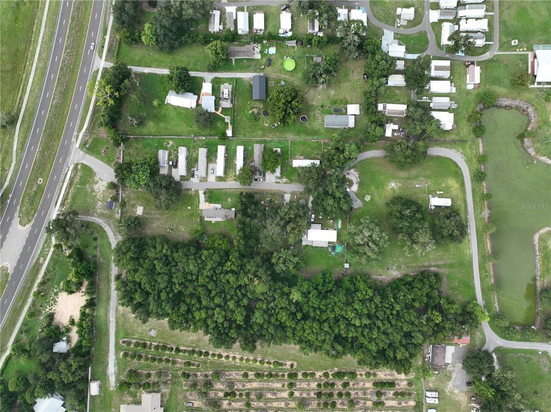 Dade City, Florida, United States 2 - 18511788