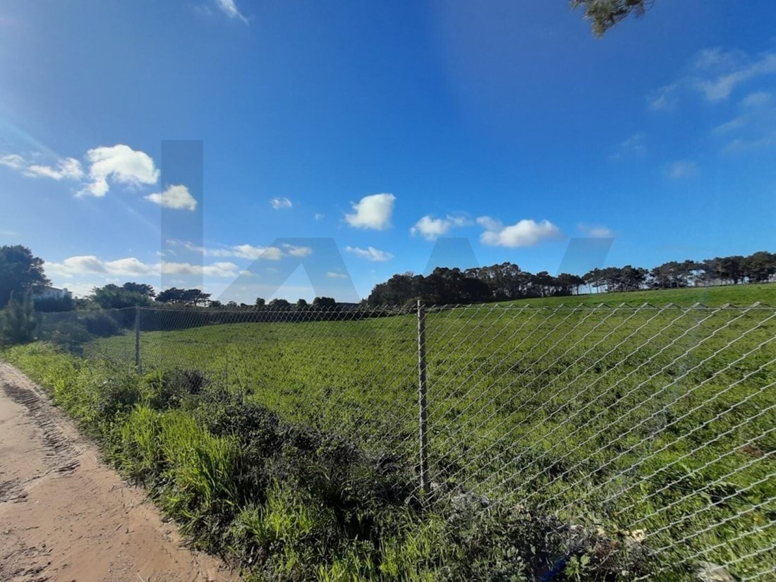 Land in Ericeira, Lisbon, Portugal 2 - 18514945