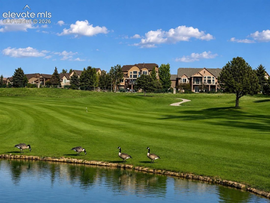 House in Colorado Springs, Colorado, United States 2 - 18508804