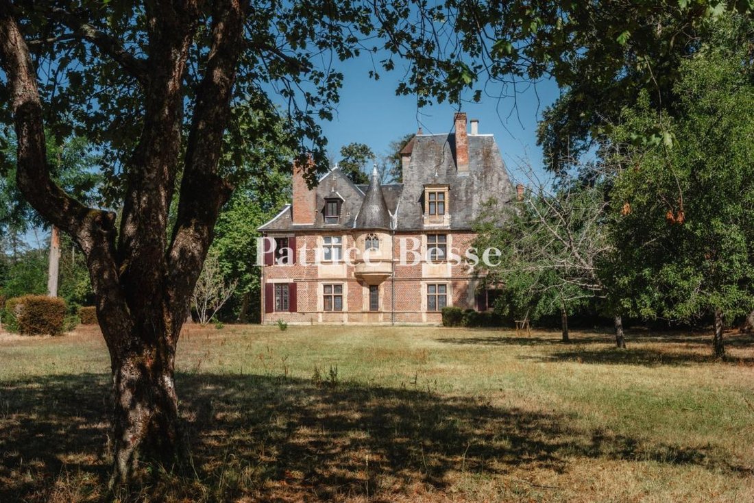 Castle in Moulins, Auvergne-Rhône-Alpes, France 5 - 17495976