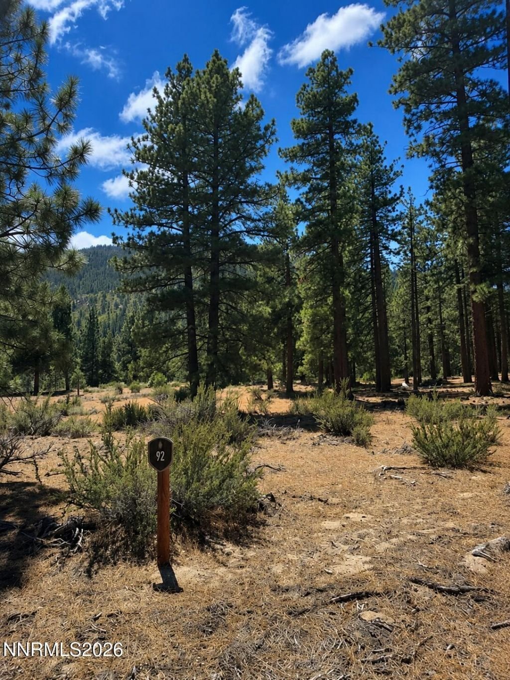Land in Genoa, Nevada, United States 1 - 18514512