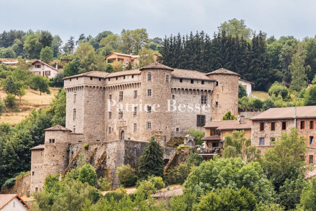 Castle in Chalmazel-Jeansagnière, Auvergne-Rhône-Alpes, France 2 - 18512200
