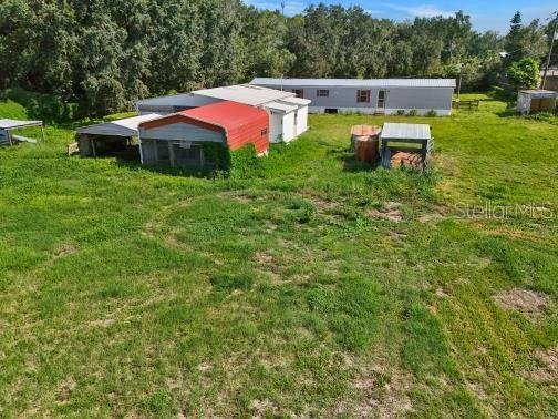 Tampa, Florida, United States 5 - 18085053