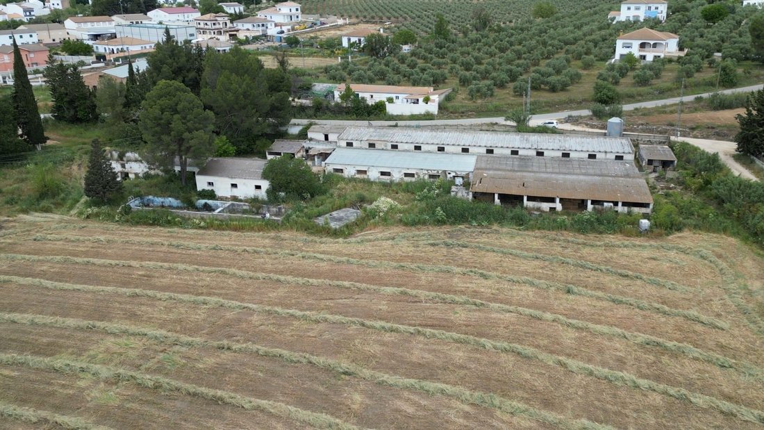 Land in Setenil de las Bodegas, Andalusia, Spain 3 - 18515333