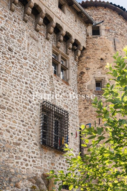 Castle in Chalmazel-Jeansagnière, Auvergne-Rhône-Alpes, France 4 - 18512200