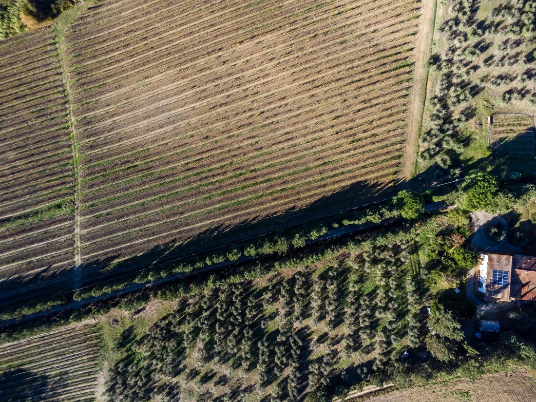 Farm Ranch in Station Area, Empoli, Tuscany 5 - 18521380