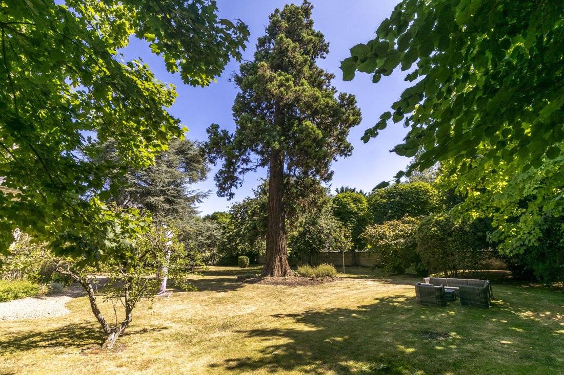 Apartment in Forêt, Saint-Germain-en-Laye, France 5 - 18511727