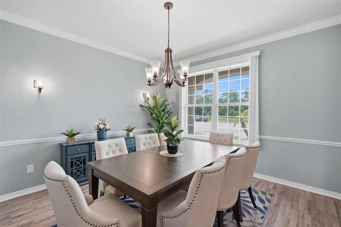 House in Brandon, Florida, United States 4 - 18517172