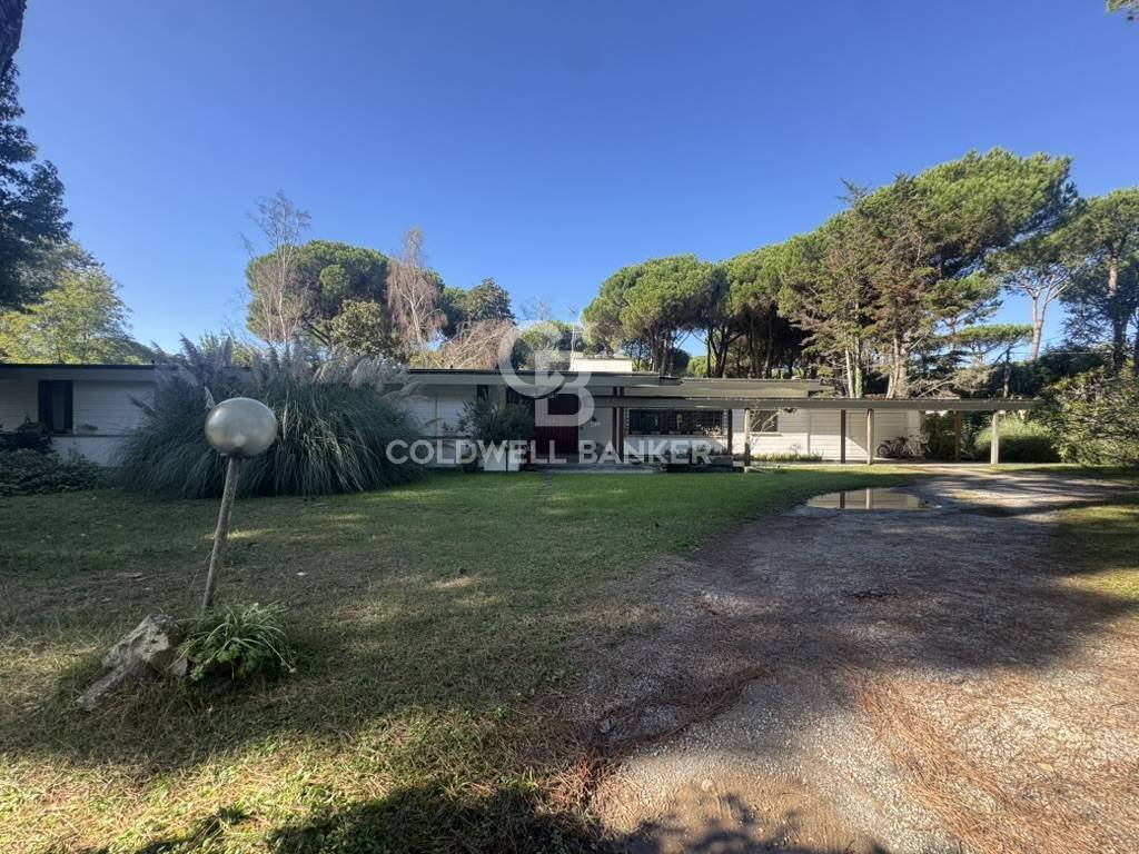 Villa in Ronchi, Massa, Italy 2 - 18514361