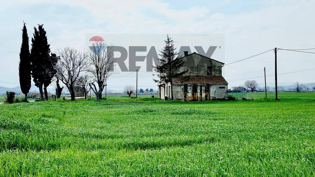 Land in Cuccurano - Carrara - Monte Giove, Fano, Marche 3 - 18514348