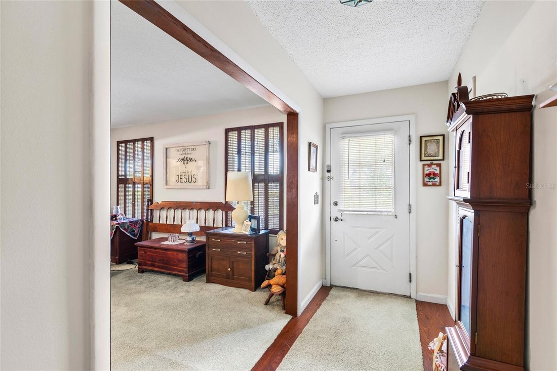 House in Seminole, Florida, United States 4 - 18517147