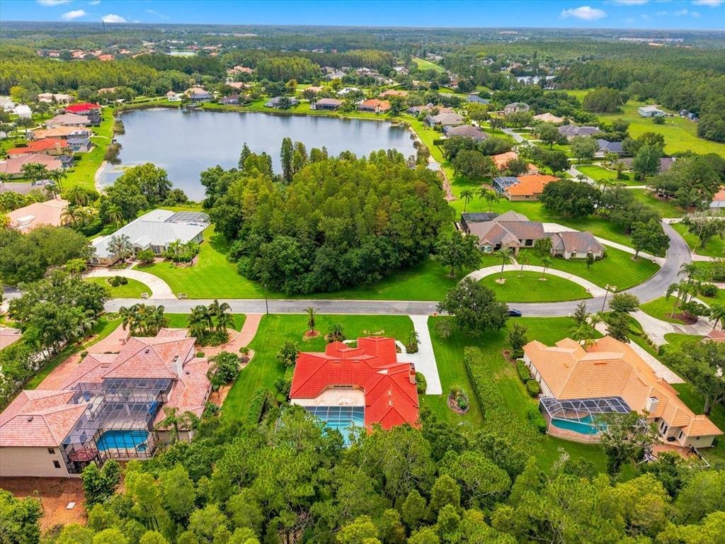 House in Land O' Lakes, Florida, United States 3 - 18516709