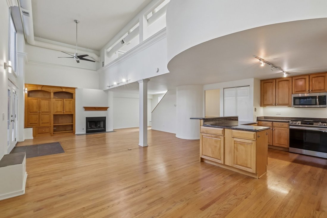 Condo in Chicago, Illinois, United States 3 - 18512106