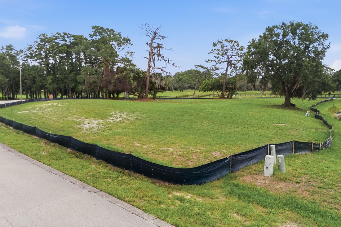 Land in Tarpon Springs, Florida, United States 5 - 18516643