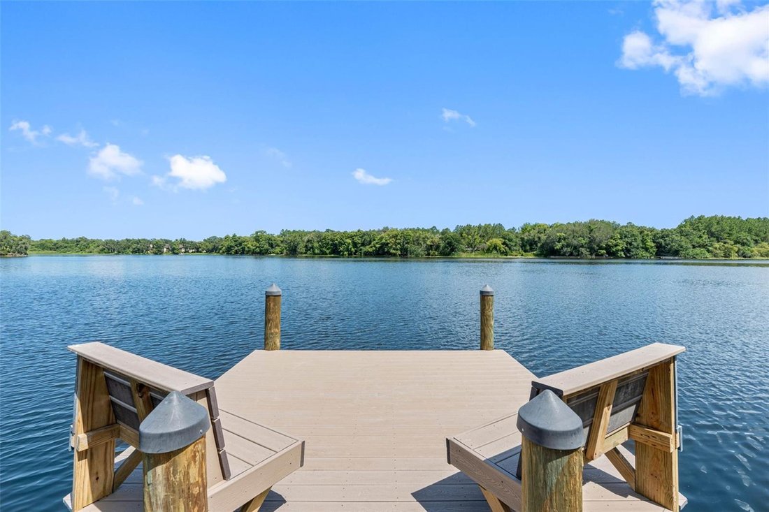 House in Tampa, Florida, United States 3 - 18514917