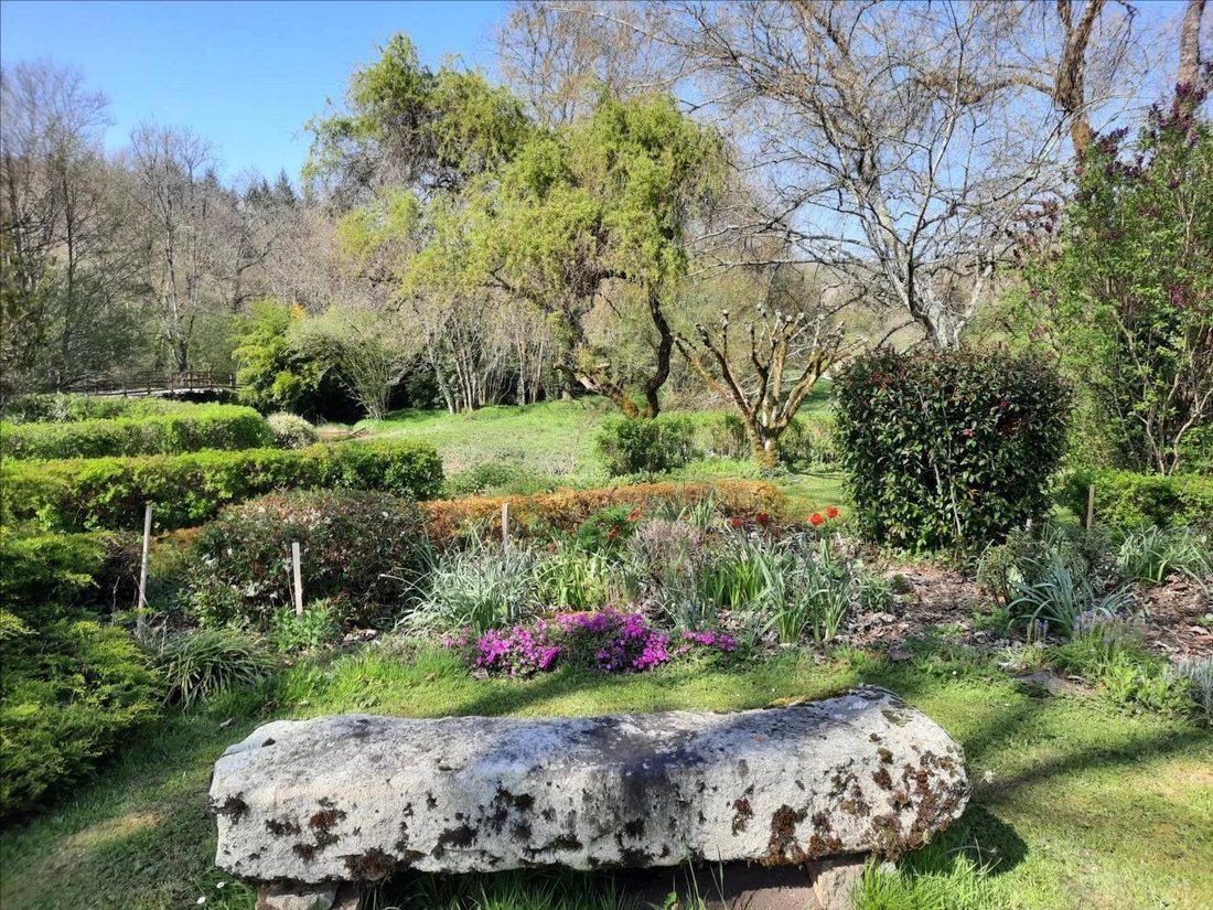 Estate in Busserolles, Nouvelle-Aquitaine, France 5 - 18516070