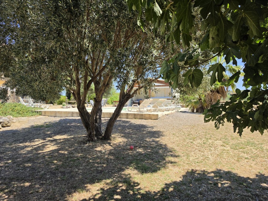 House in Magalas, Occitania, France 4 - 18511876