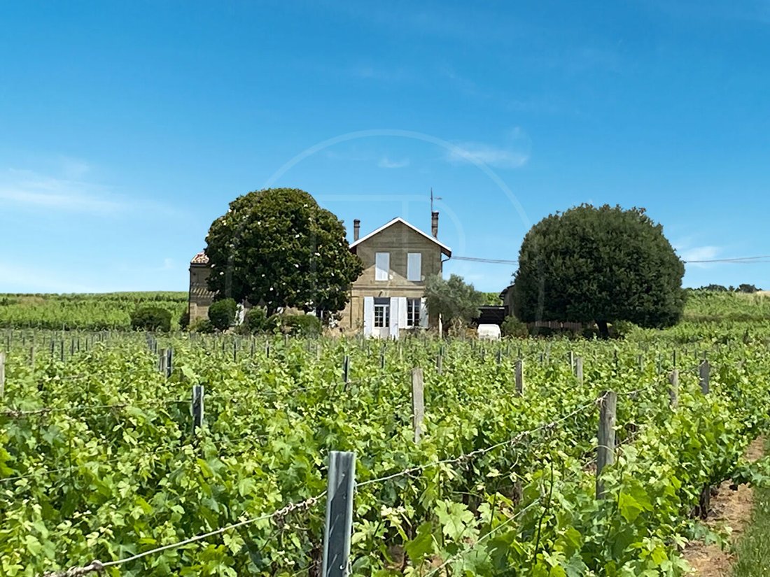 Villa in Saint-Émilion, Nouvelle-Aquitaine, France 1 - 18509055
