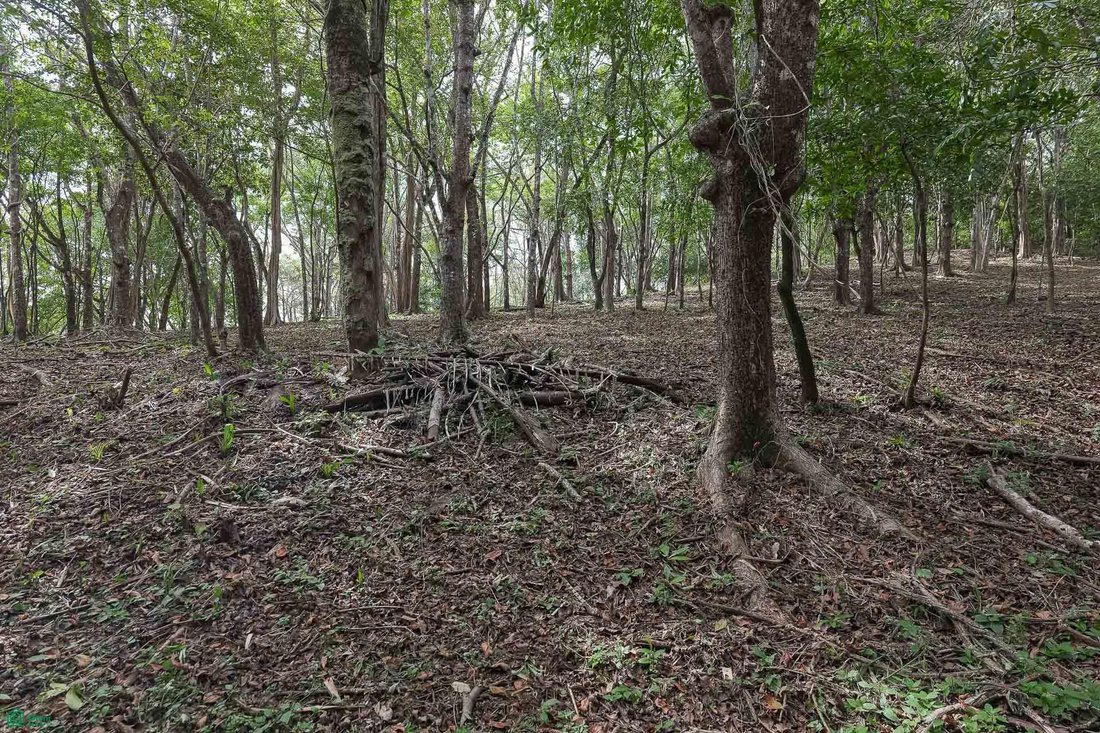 Land in Cuajiniquil, Santa Cruz, Costa Rica 5 - 18459593