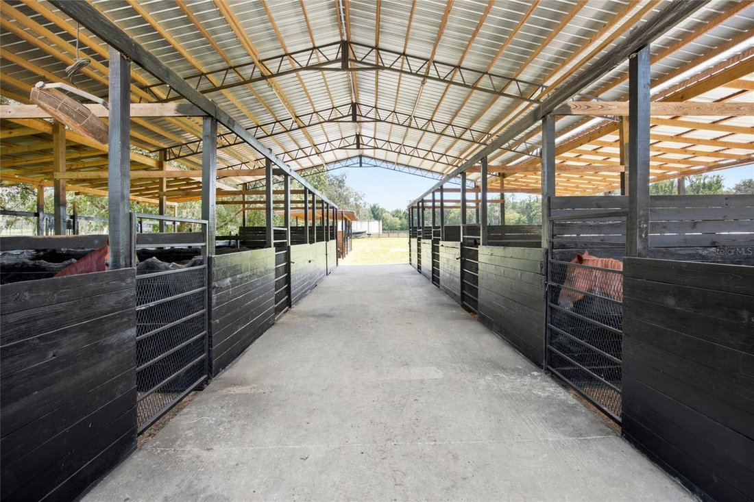 House in Belleview, Florida, United States 3 - 18511878
