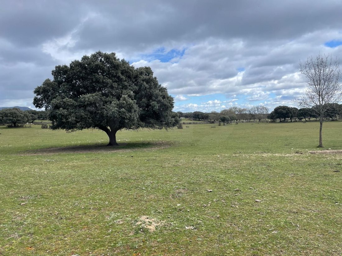 Galapagar, Comunidad de Madrid, Spain 1 - 17355845