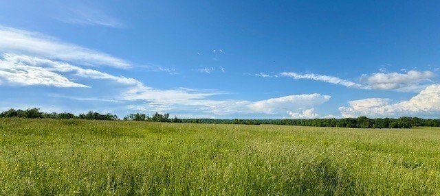 Waynesboro, Tennessee, United States 3 - 18512413